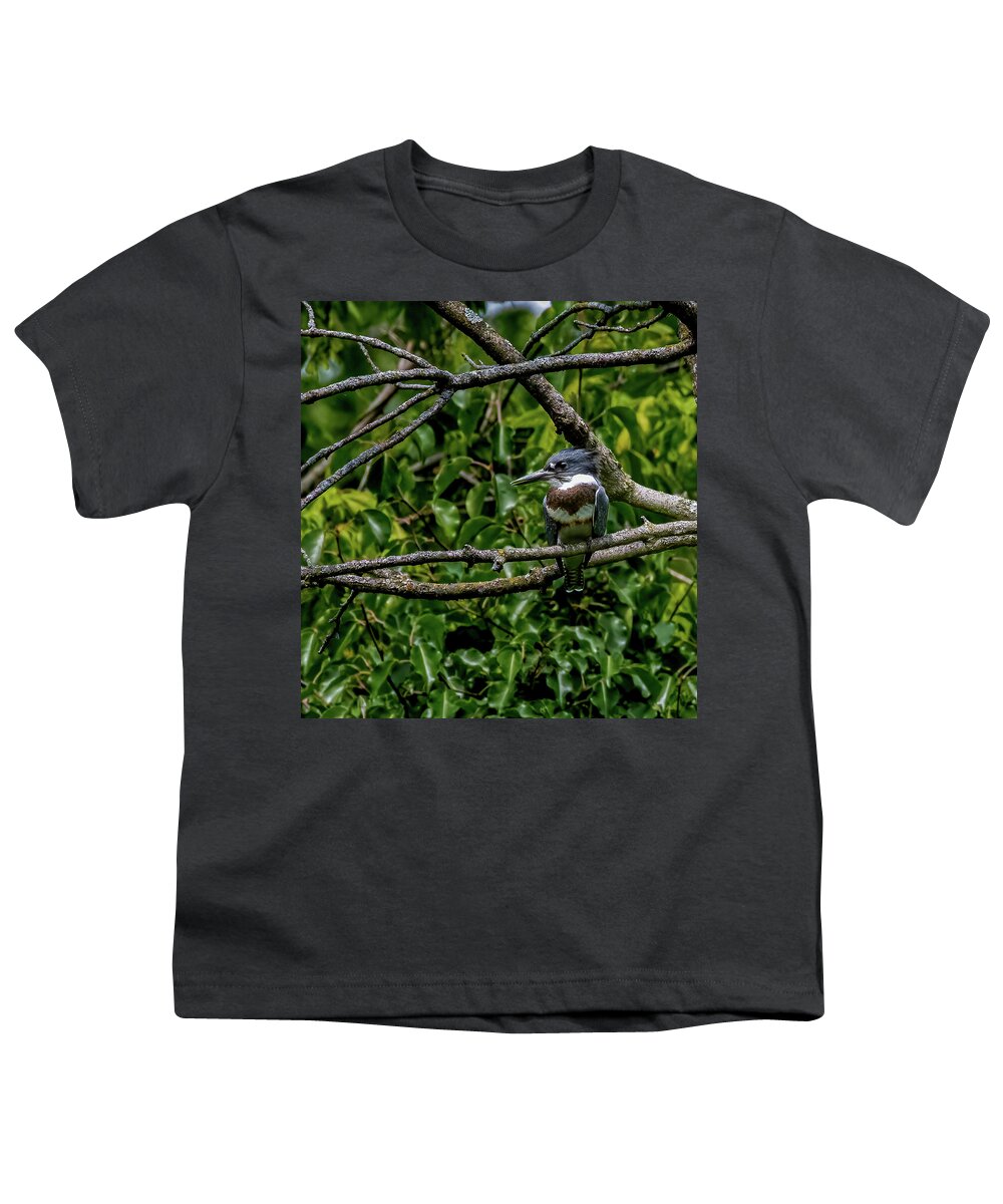 Animal Youth T-Shirt featuring the photograph Resting Kingfisher by Brian Shoemaker