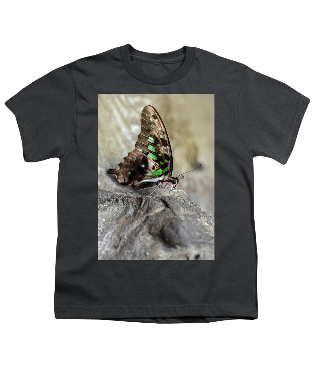 Insect Youth T-Shirt featuring the photograph Resting on the wooden piece by Jaroslaw Blaminsky