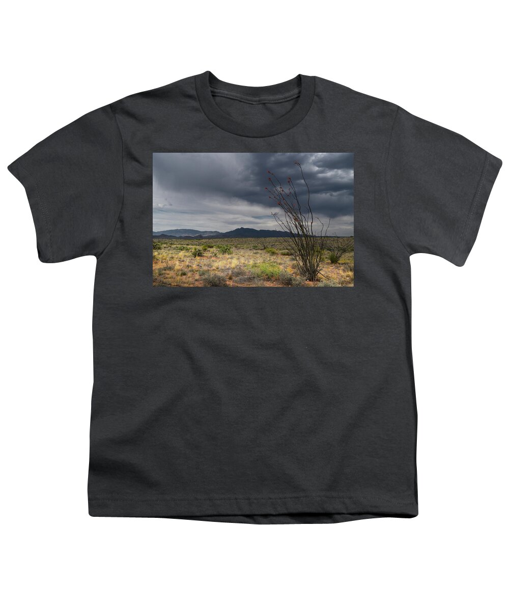 Rincon Mountains Youth T-Shirt featuring the photograph Rincon Mountains Storm Clouds and Ocotillo, Tucson AZ by Chance Kafka