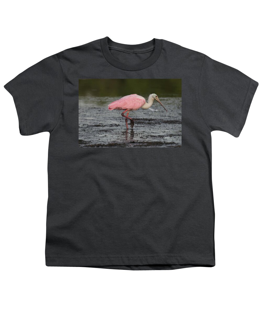 Roseate Spoonbill Youth T-Shirt featuring the photograph Roseate Spoonbill 13 by Mingming Jiang