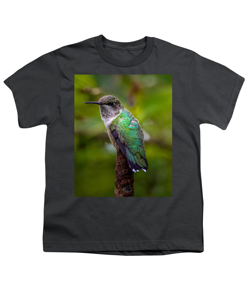 Hummingbird Youth T-Shirt featuring the photograph Ruby-throated Hummingbird Portrait by Susan Rydberg