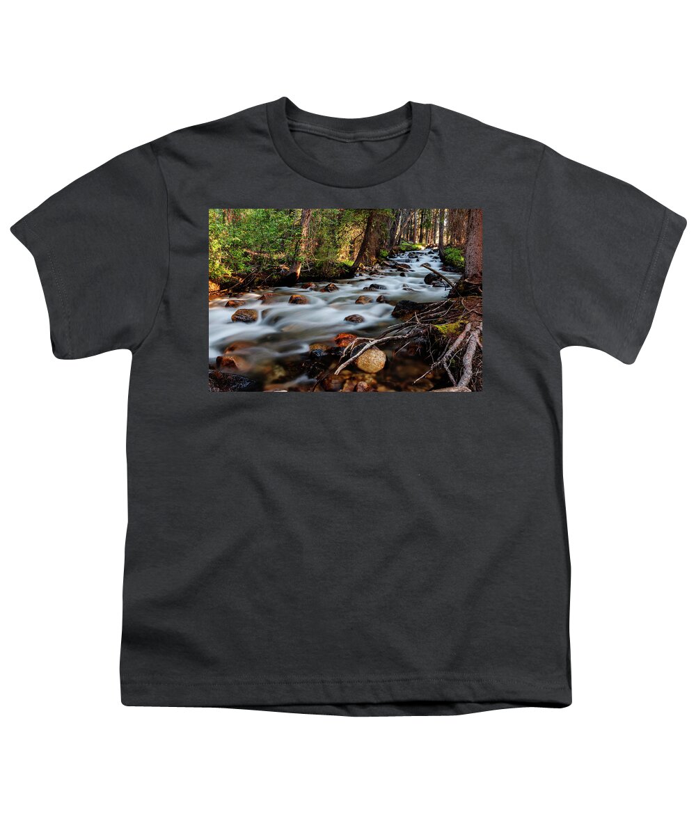 Fishhook Creek Youth T-Shirt featuring the photograph Rushing Fishhook Creek in Stanley Idaho USA by Vishwanath Bhat