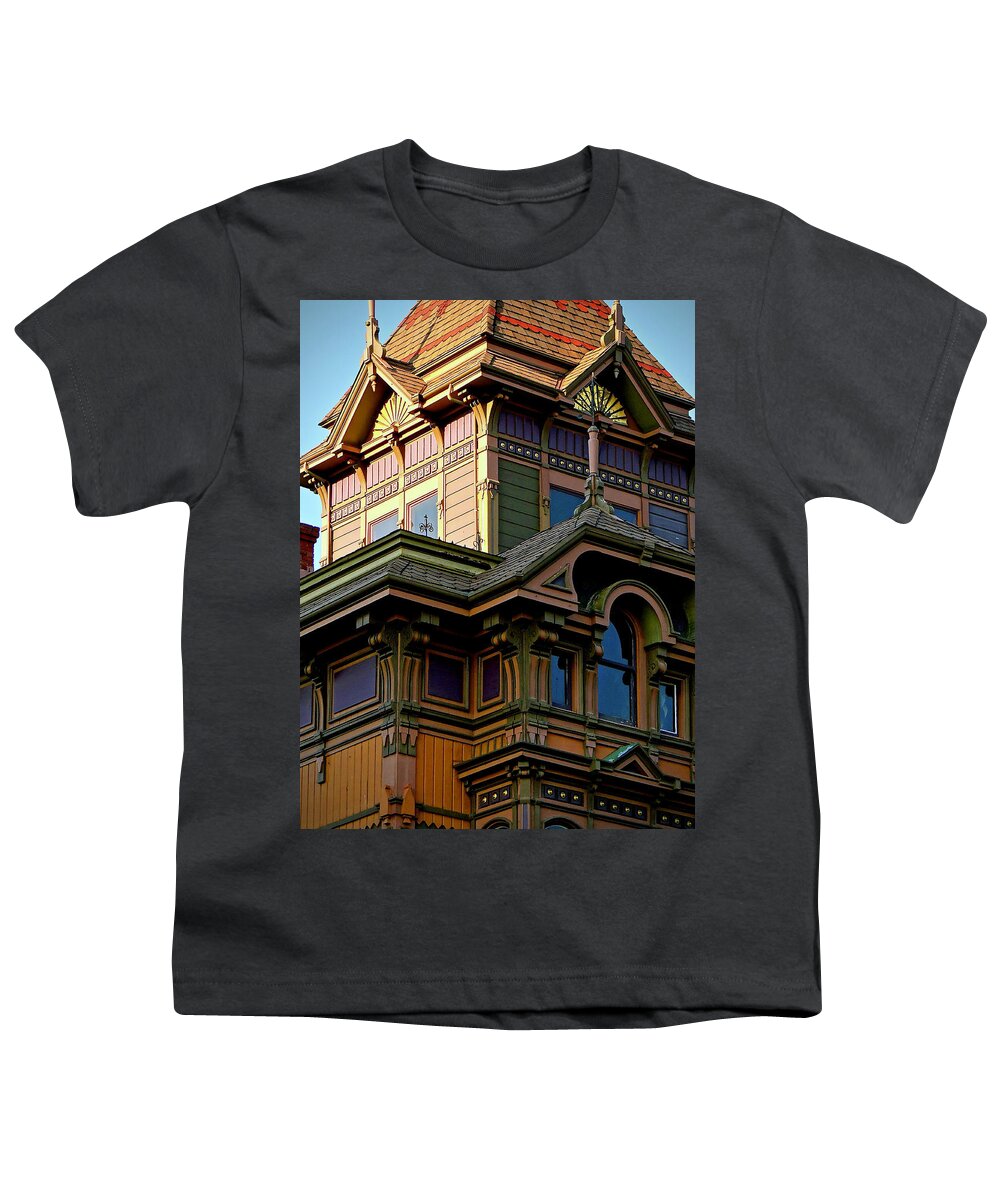 San Francisco Youth T-Shirt featuring the photograph Russian Dressing by Ira Shander