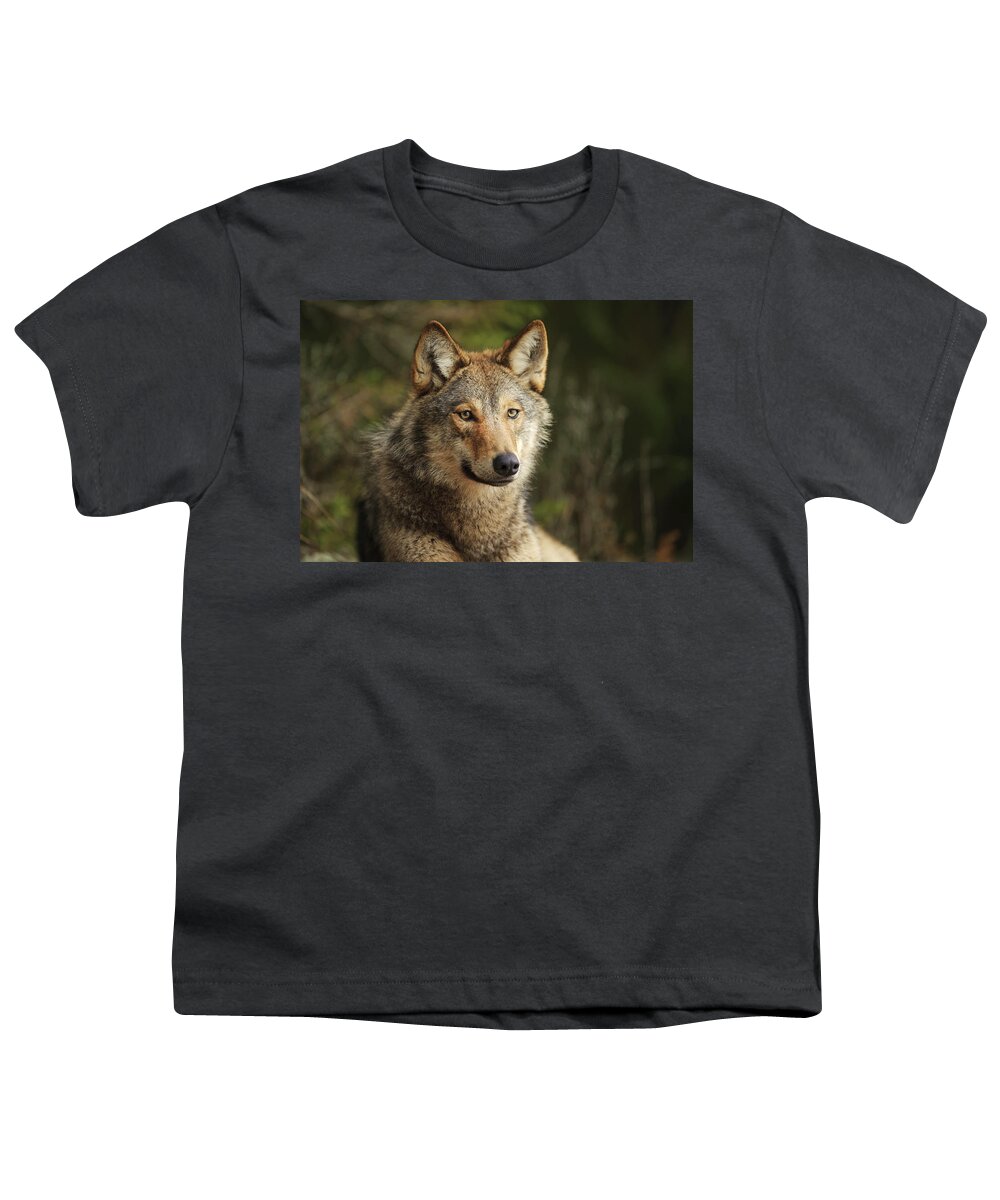 00582045 Youth T-Shirt featuring the photograph Russian Wolf by Sergey Gorshkov