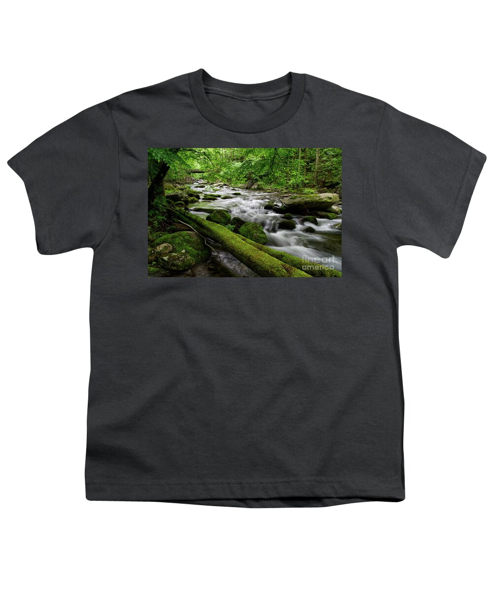 Middle Prong Little River Youth T-Shirt featuring the photograph Rustic Wooden Bridge 2 by Phil Perkins