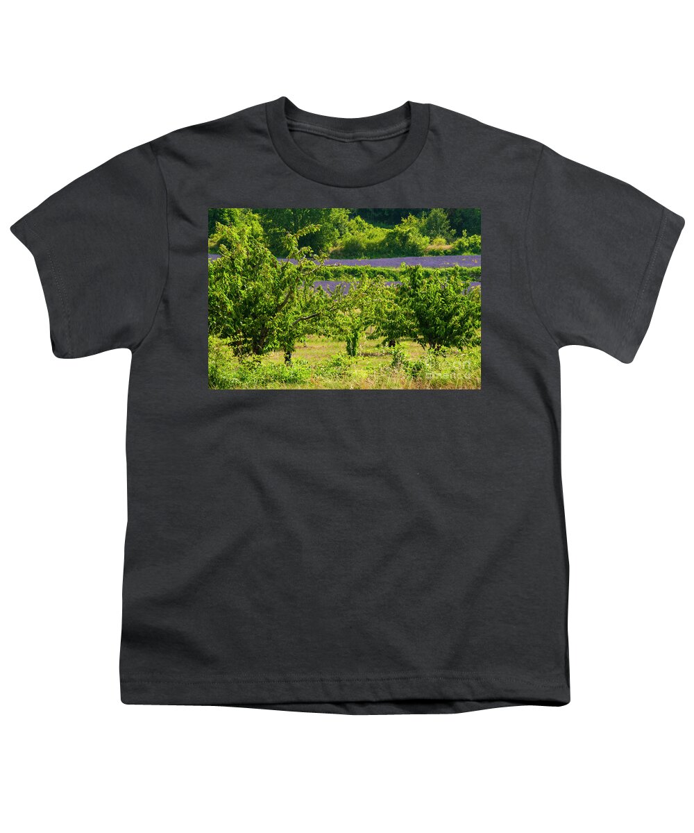 Provence Youth T-Shirt featuring the photograph Saignon Fruit Trees and Lavender by Bob Phillips
