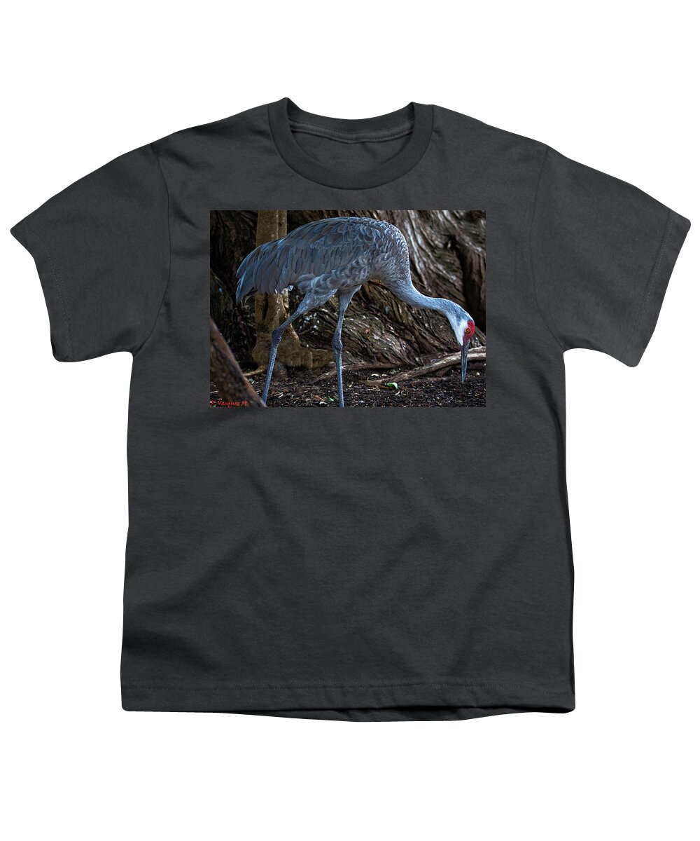 Sand Youth T-Shirt featuring the photograph Sandhill Crane by Rene Vasquez