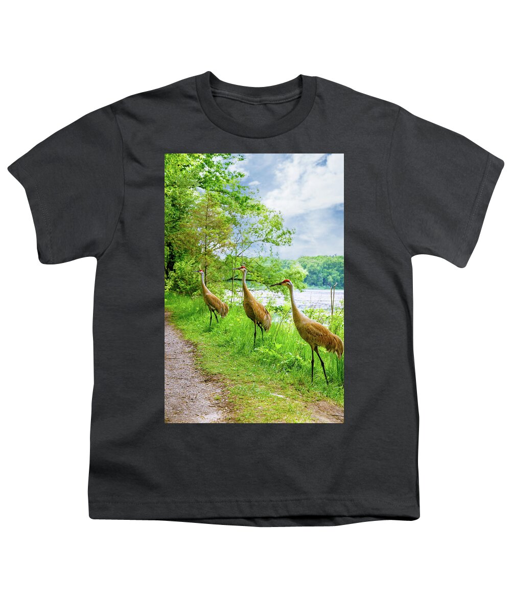 America Youth T-Shirt featuring the photograph Sandhill Cranes in Michigan by Alexey Stiop