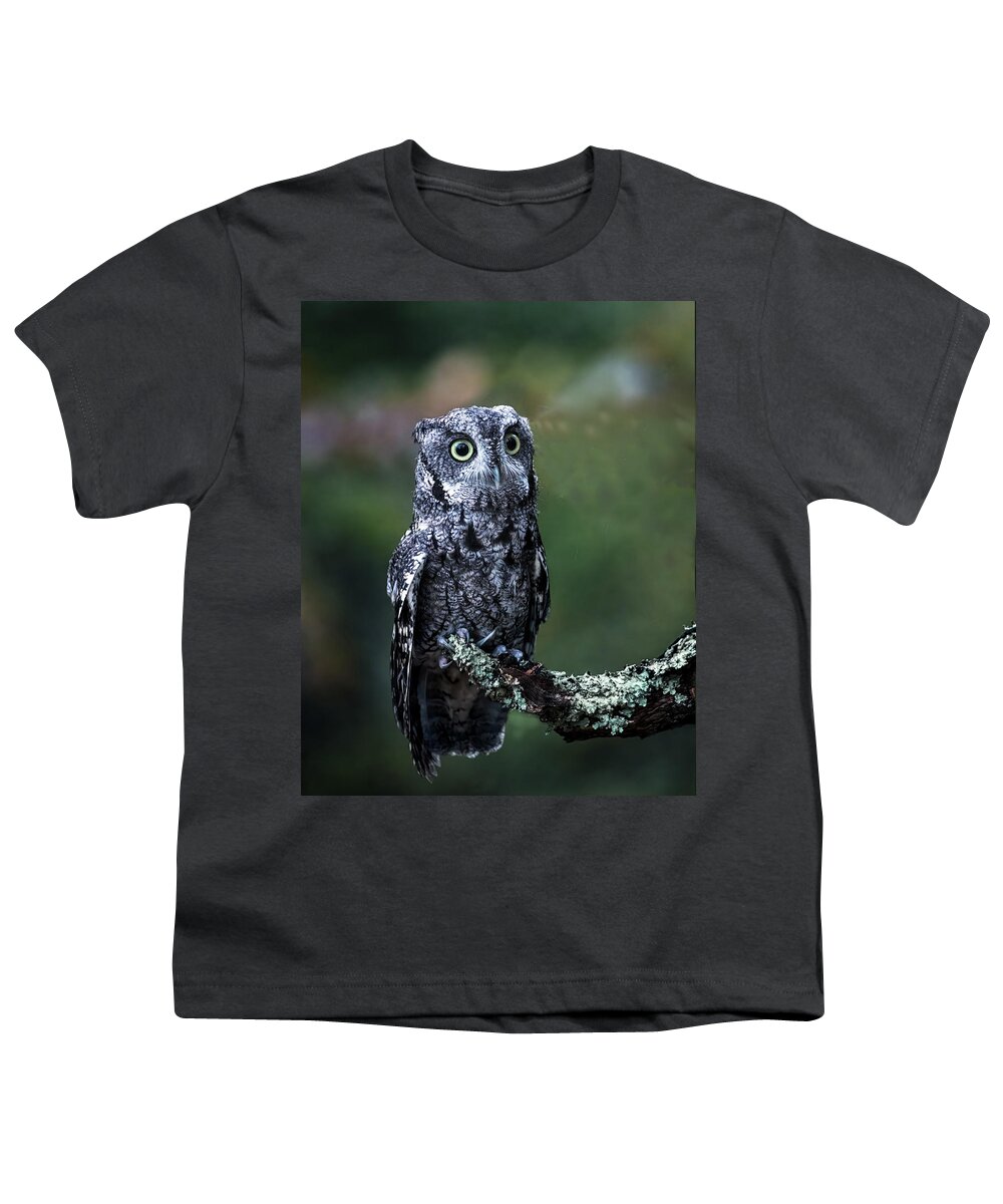 Screech Owl Youth T-Shirt featuring the photograph Screech Owl Beauty by Jaki Miller