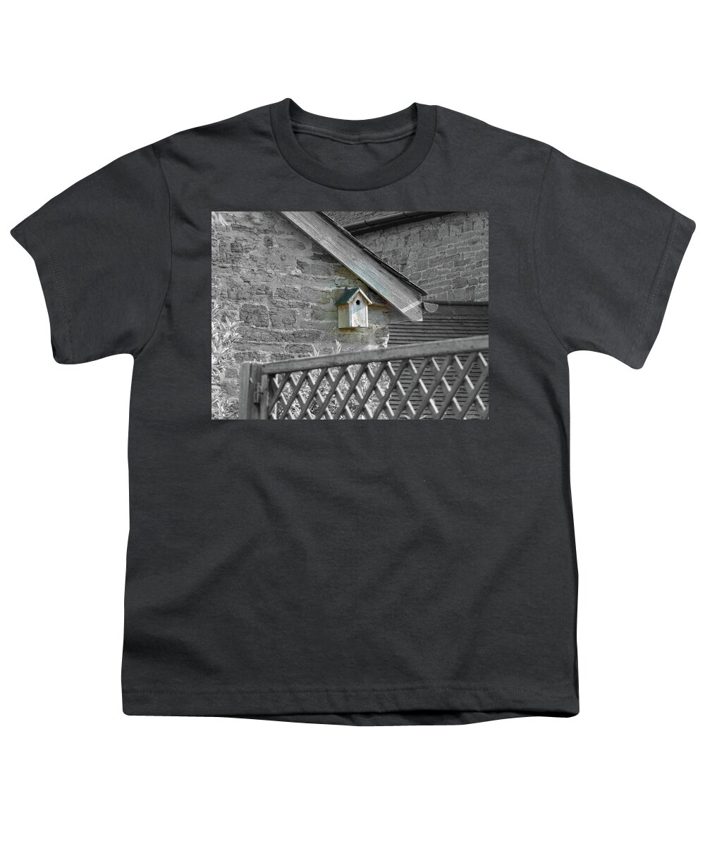 Birdhouse Youth T-Shirt featuring the photograph Shared Housing by Kristin Hatt