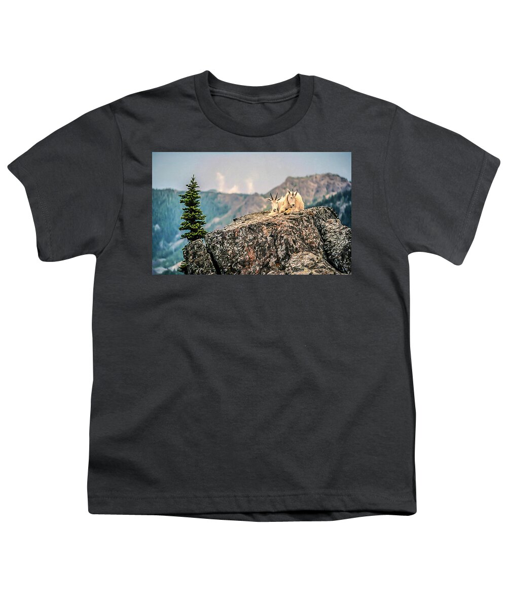 Olympic National Park Youth T-Shirt featuring the photograph Sharing Rest Spot by Doug Scrima