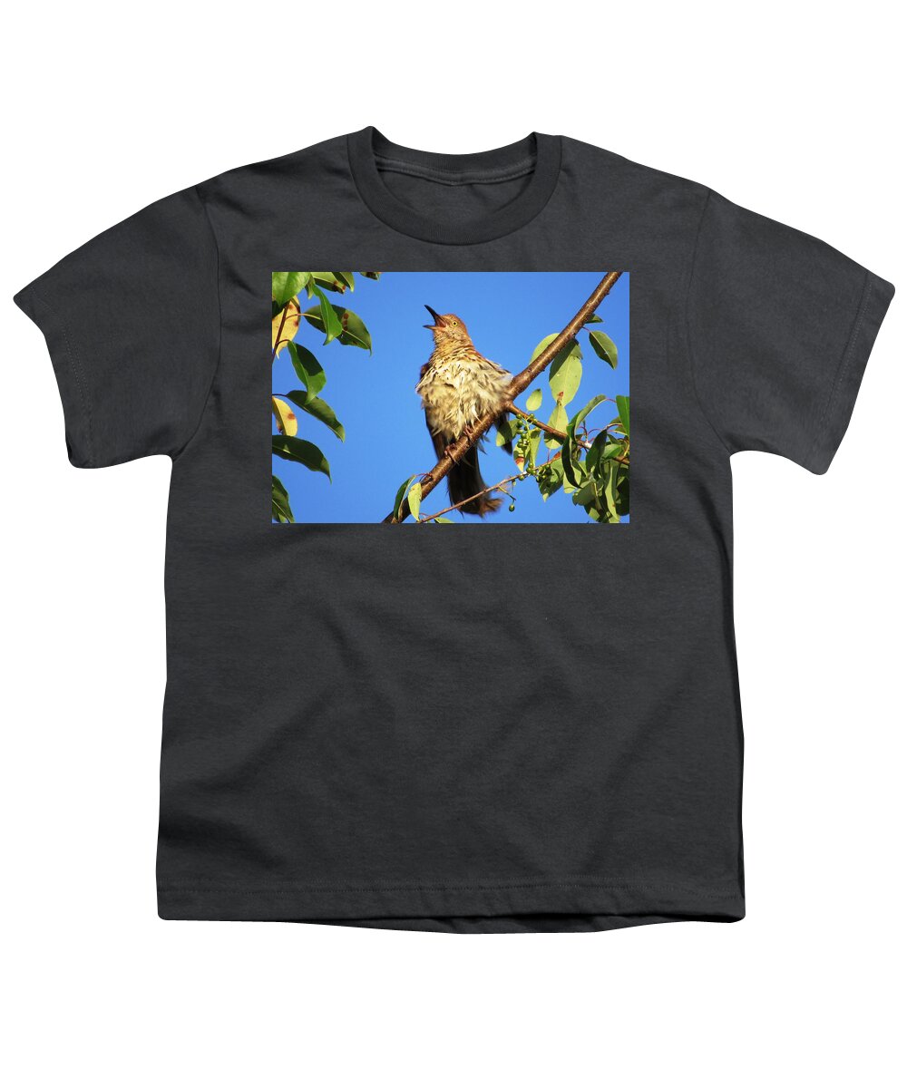 #brownthrasher Youth T-Shirt featuring the photograph Singing A Love Song by Belinda Lee
