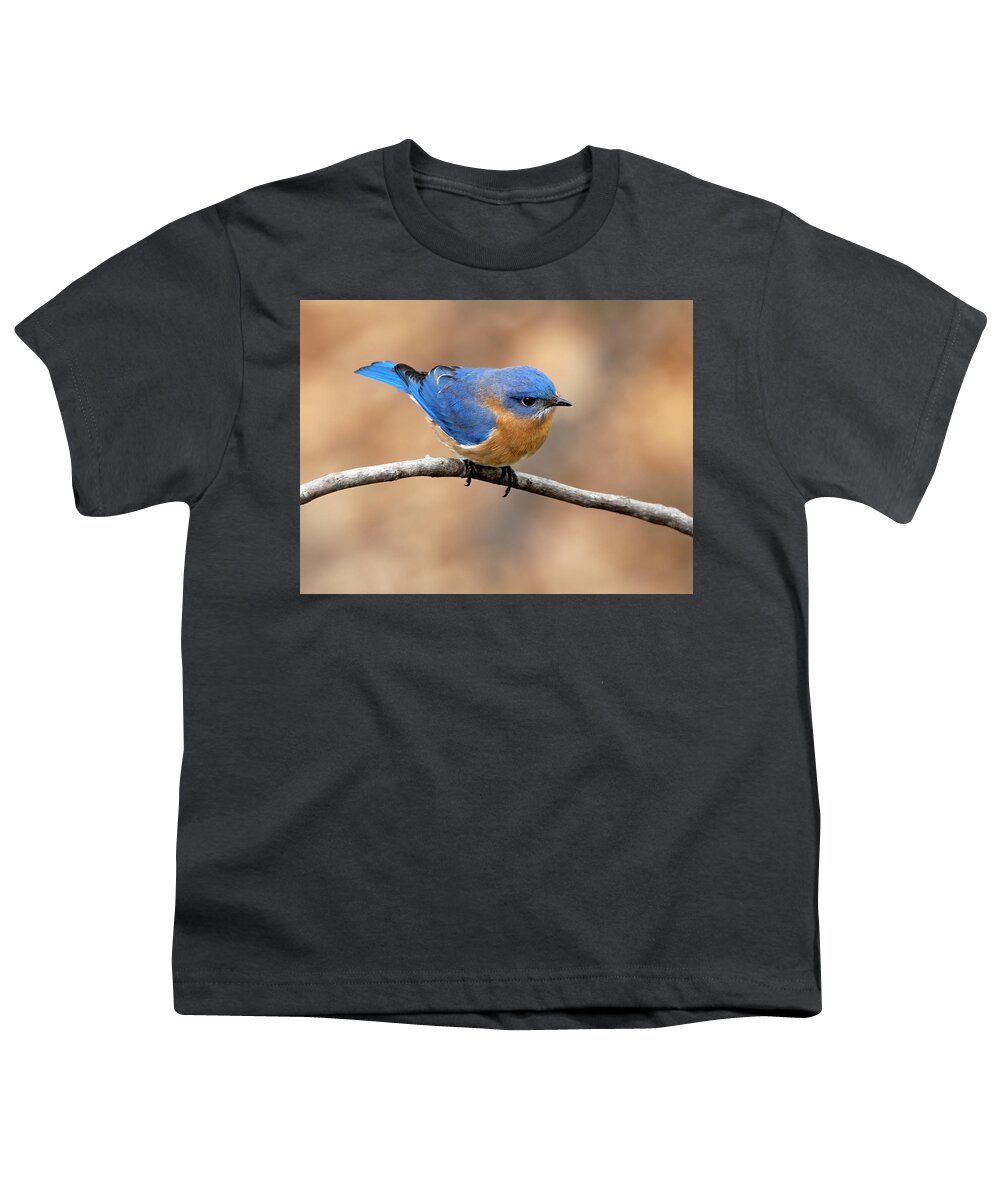 Bird Youth T-Shirt featuring the photograph Sir Blue by Art Cole