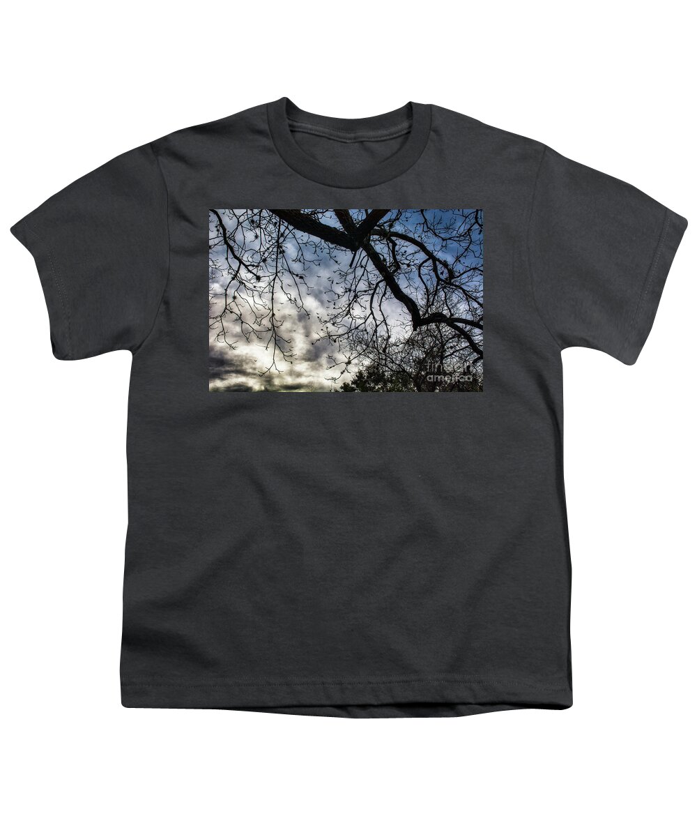 Tree Youth T-Shirt featuring the photograph Sky Trees Birds by Glen Carpenter