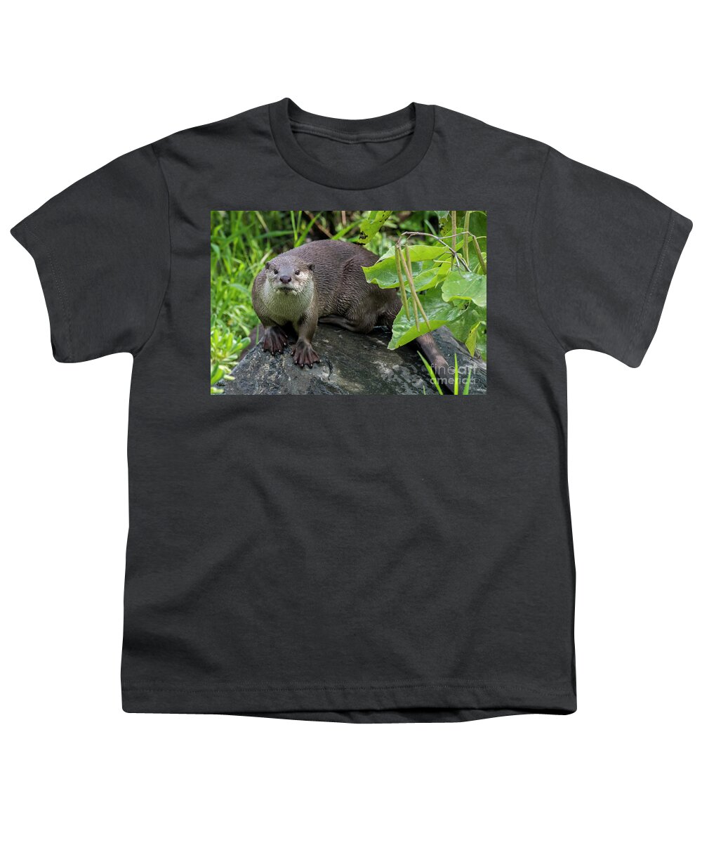 Smooth-coated Otter Youth T-Shirt featuring the photograph Smooth-Coated Otter by Arterra Picture Library