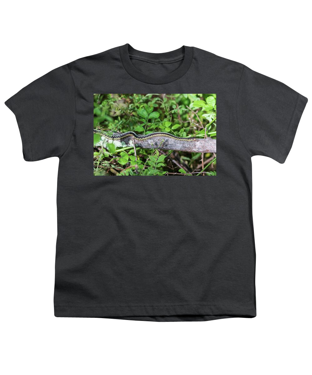Reptile Youth T-Shirt featuring the photograph Snake on a Log by Amelia Pearn