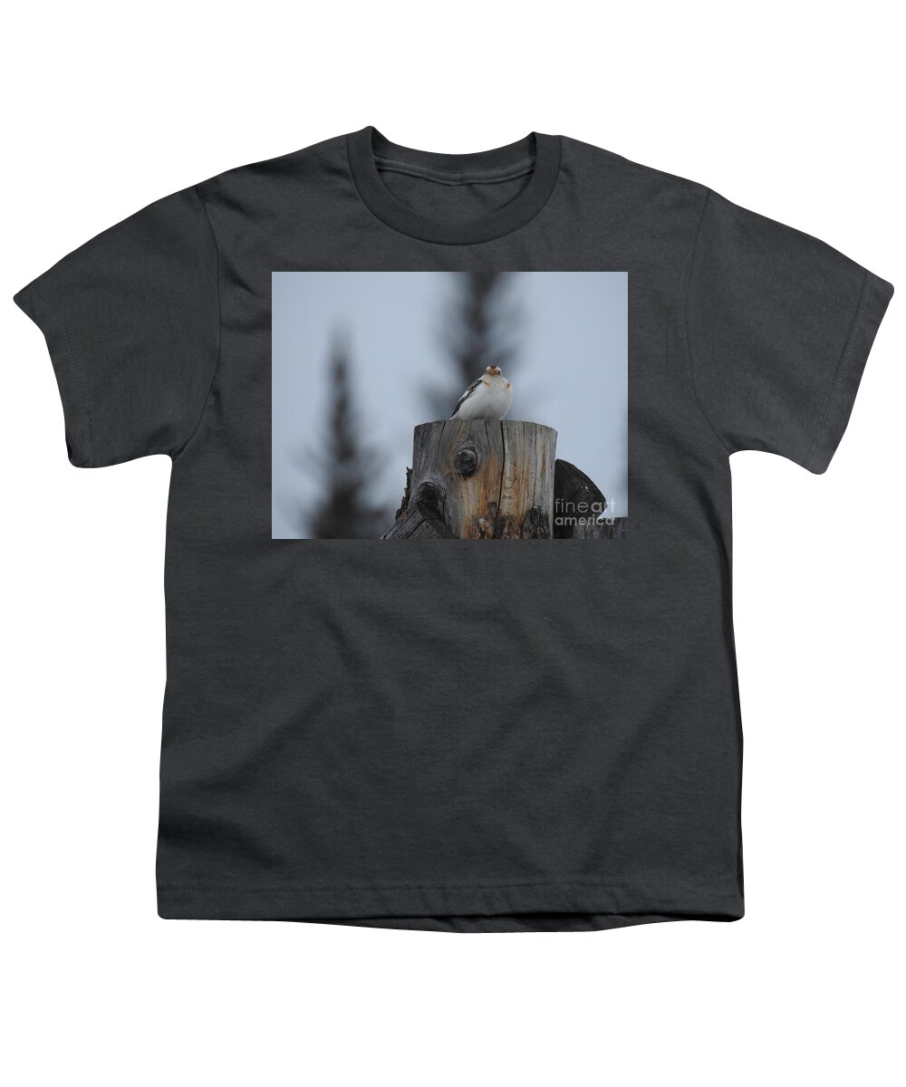 Snow Bunting Youth T-Shirt featuring the photograph Snow Bunting by Nicola Finch