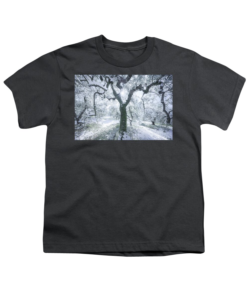 Olive Youth T-Shirt featuring the photograph Snow in Tuscany, olive trees in the grove. by Stefano Orazzini