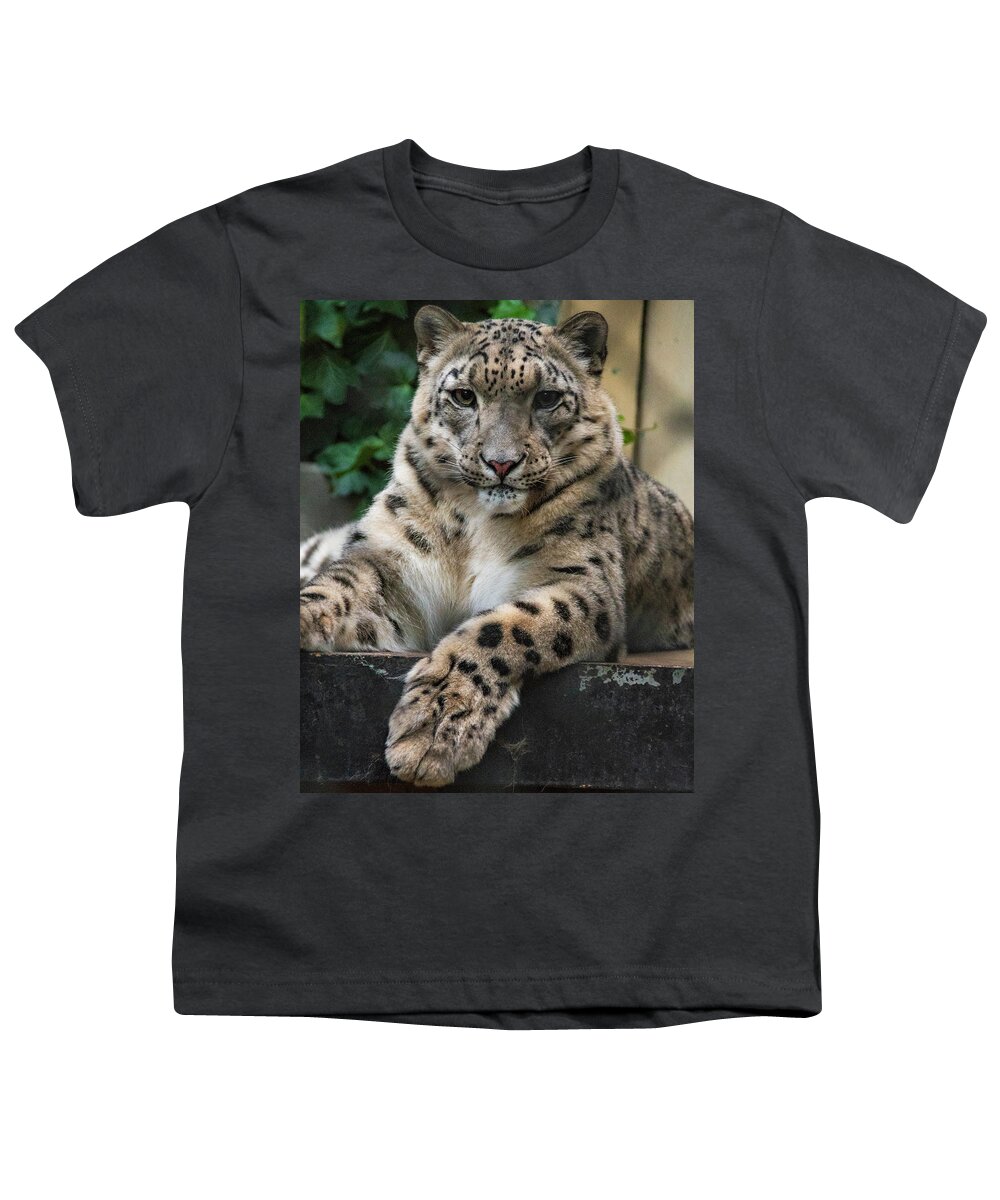 Zoo Boise Youth T-Shirt featuring the photograph Snow Leopard 2 by Melissa Southern