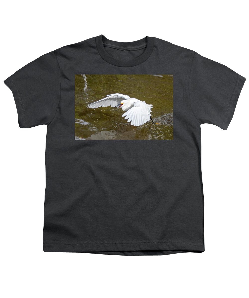 Egret Youth T-Shirt featuring the photograph Snowy Egret catches fish on the wing. by Bradford Martin