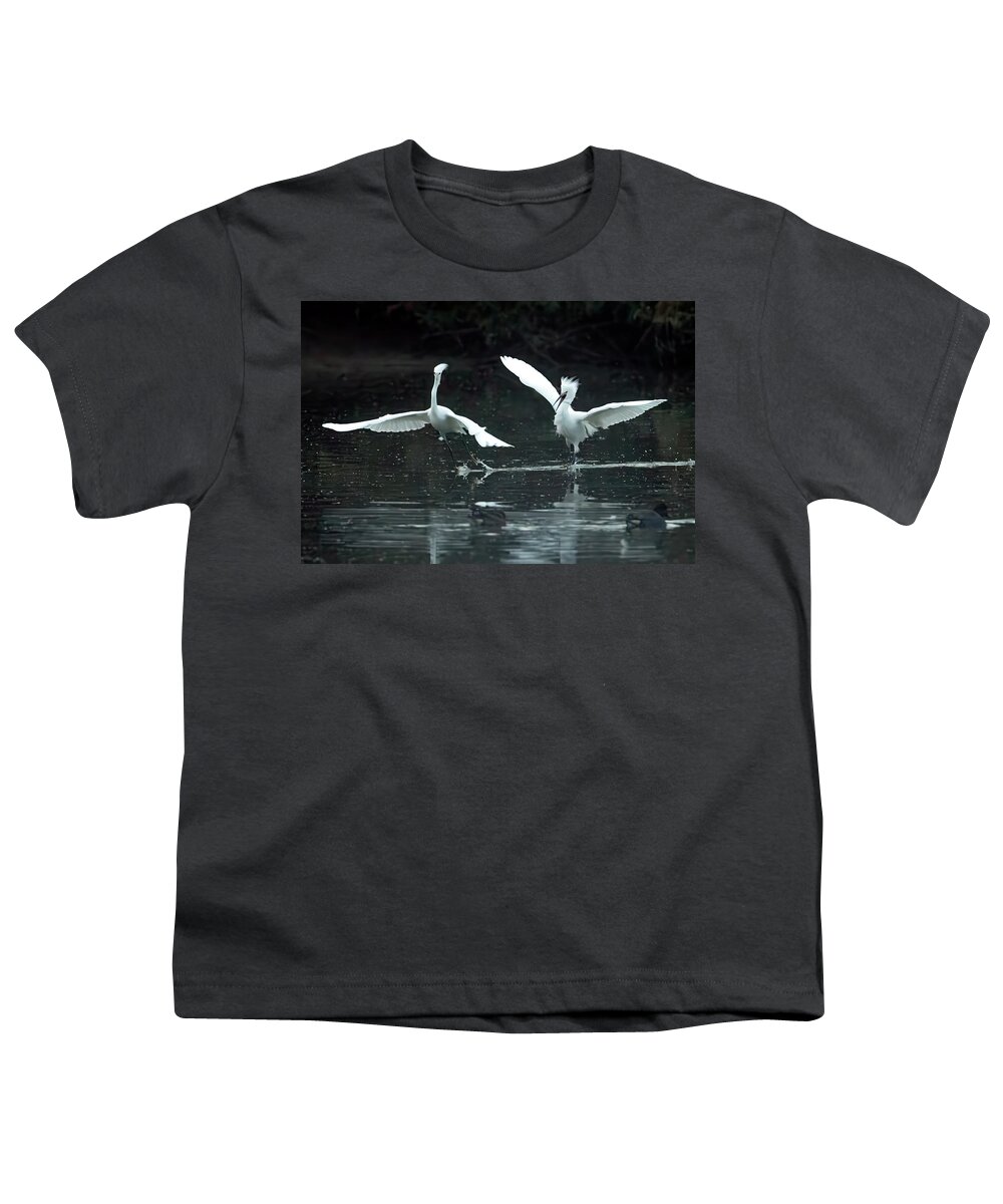 Snowy Egrets Youth T-Shirt featuring the photograph Snowy Egret Chase 0286-112823-2 by Tam Ryan