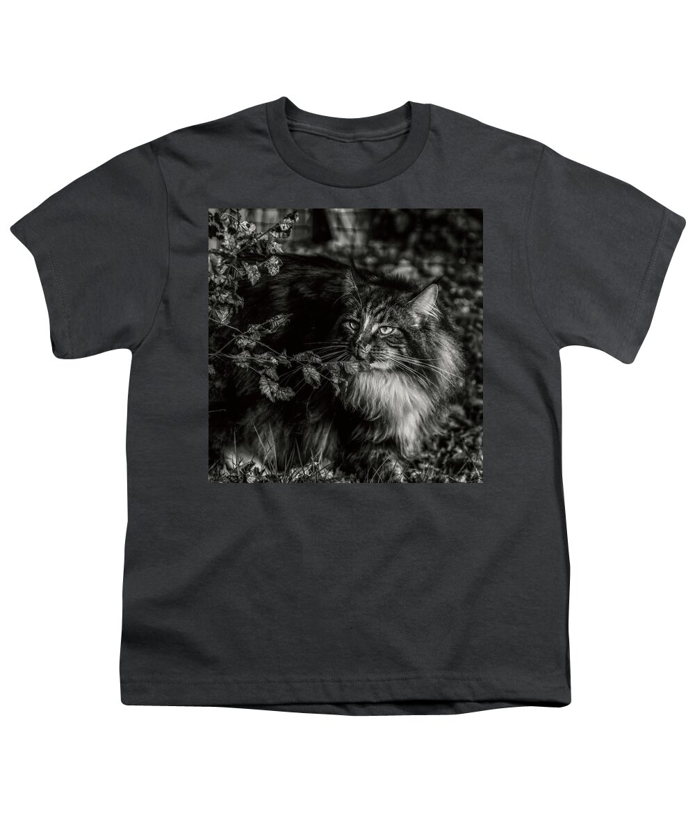 Cat Youth T-Shirt featuring the photograph So many scents by Jaroslav Buna