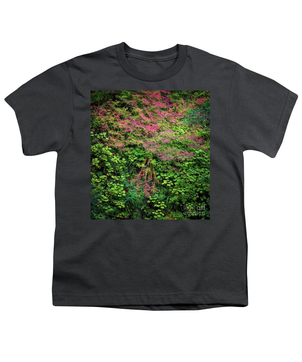 America Youth T-Shirt featuring the photograph Sol Duc Forest by Inge Johnsson