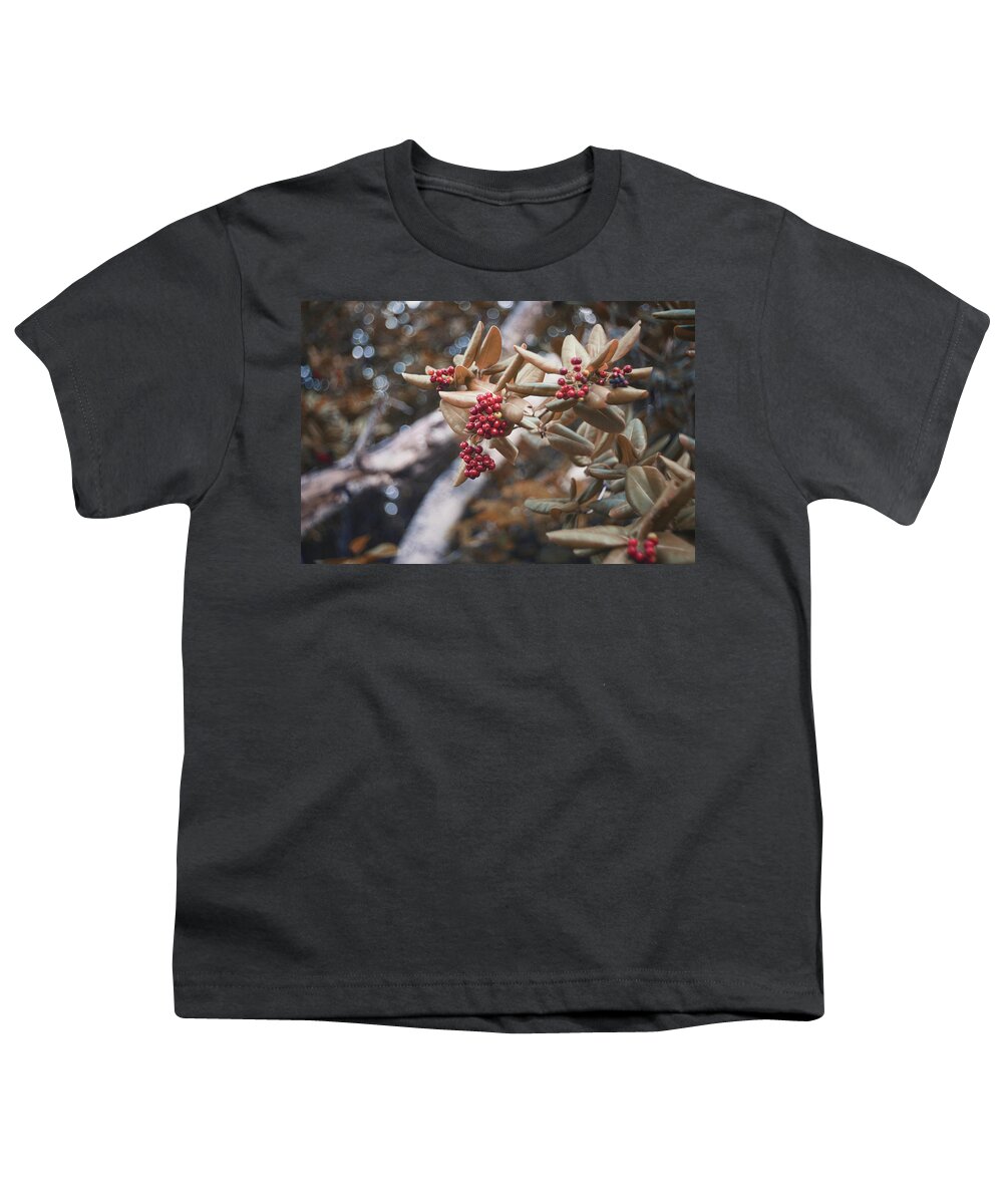 Nature Art Youth T-Shirt featuring the photograph Spaceship Cherries by Gian Smith