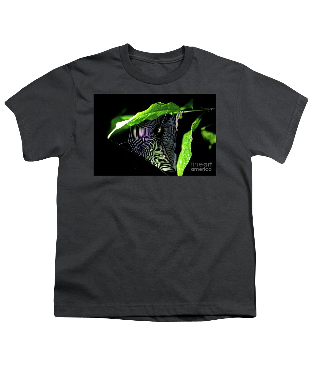 Spider Youth T-Shirt featuring the photograph Spider spinning a web k1 by Eyal Bartov