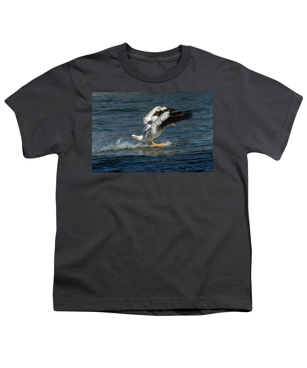 American White Pelican Youth T-Shirt featuring the photograph Splash Down 2016 by Thomas Young