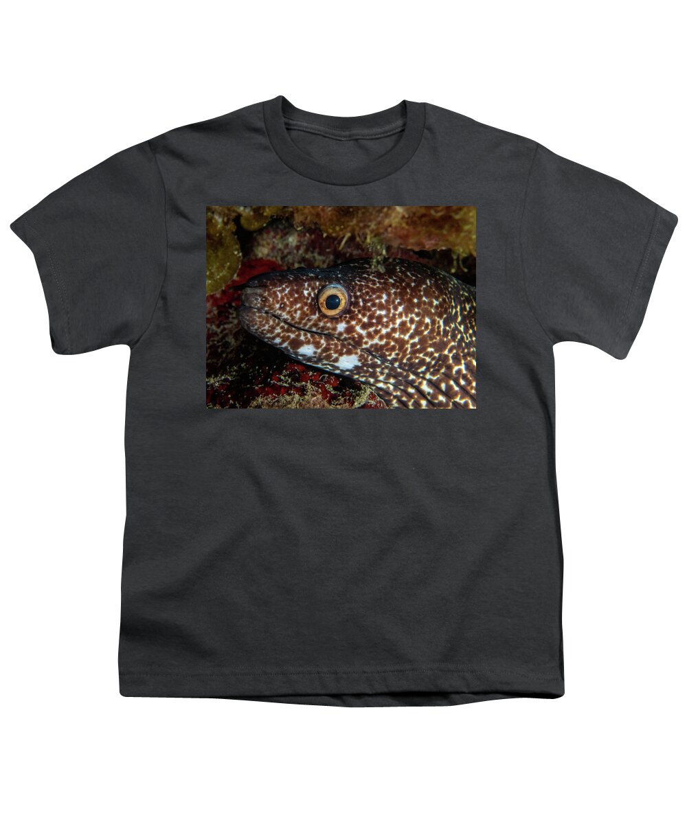 Moray Youth T-Shirt featuring the photograph Spotted Moray Eel by Brian Weber