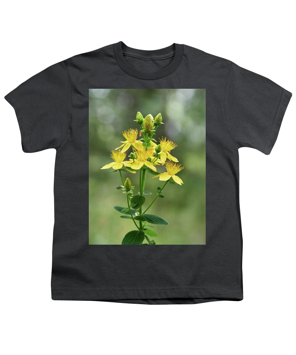 Finland Youth T-Shirt featuring the photograph Spotted St. Johnswort 4 by Jouko Lehto