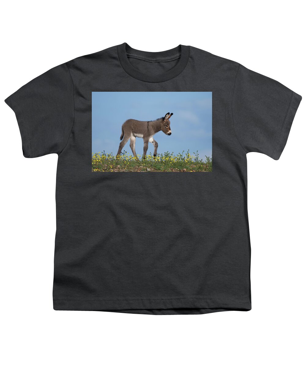 Wild Burros Youth T-Shirt featuring the photograph Spring Time by Mary Hone