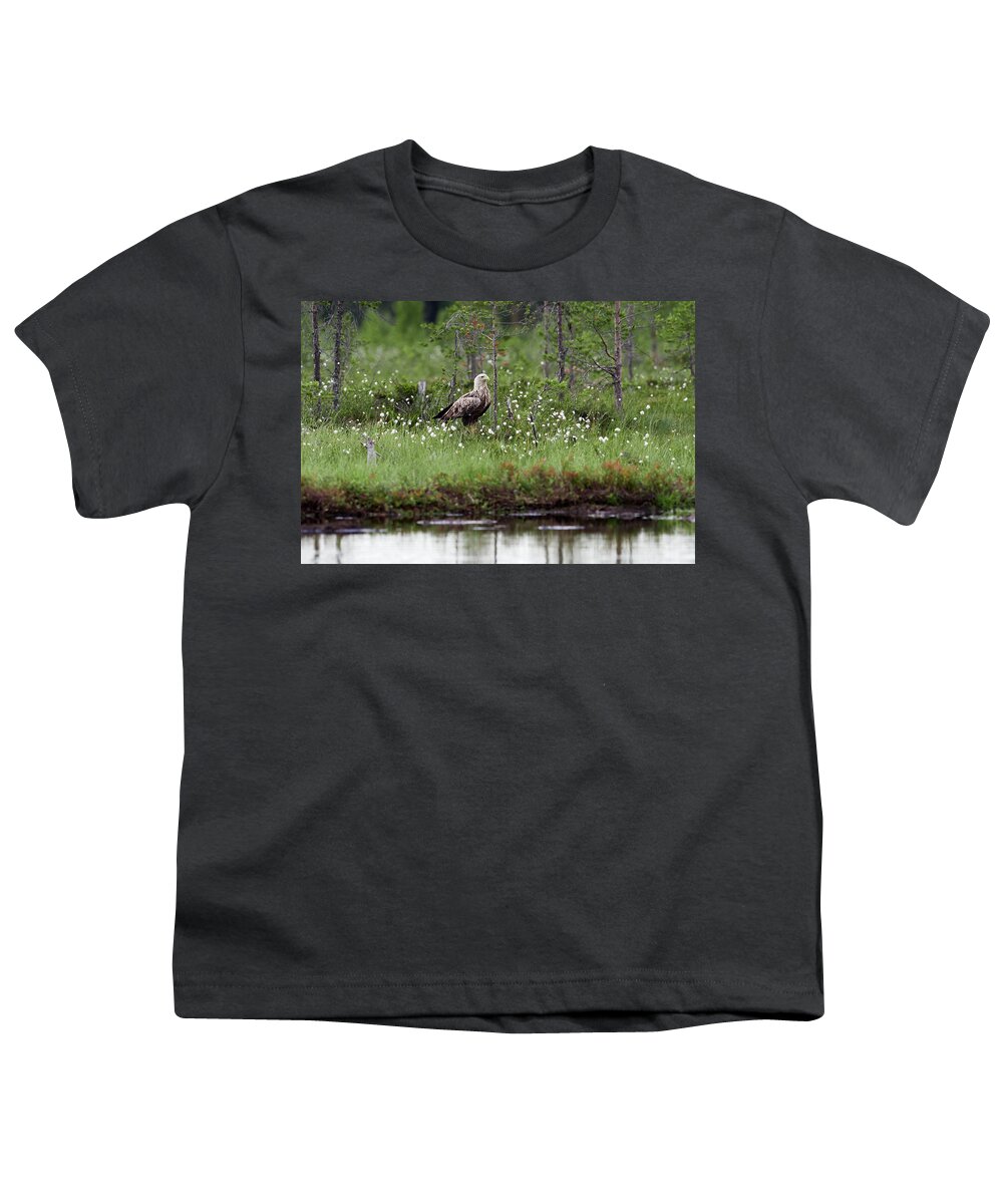Finland Youth T-Shirt featuring the photograph Standing bold. White-tailed eagle by Jouko Lehto