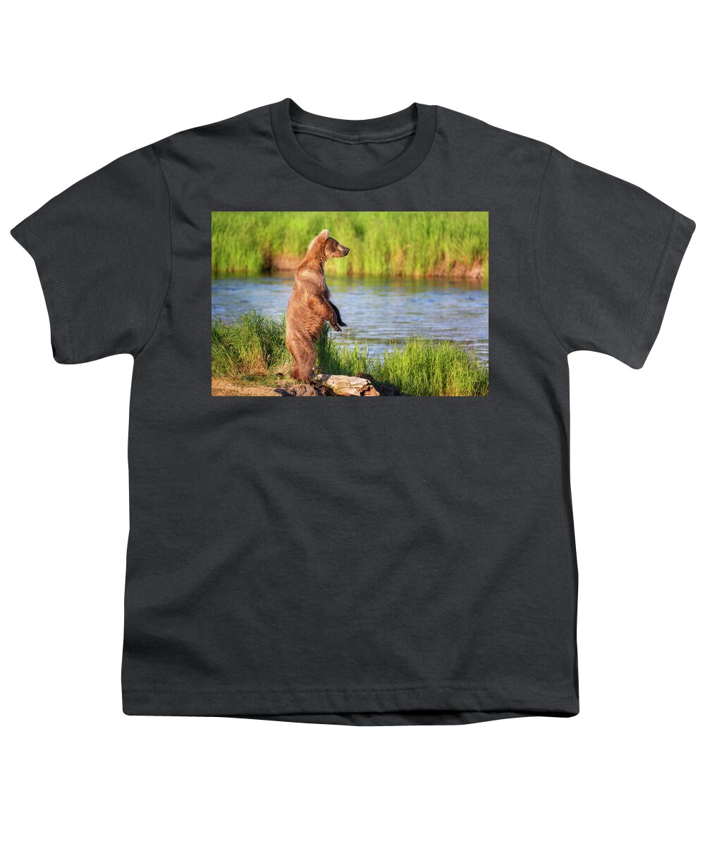 Alaska Youth T-Shirt featuring the photograph Standing Grizzly Bear - 1 by Alex Mironyuk