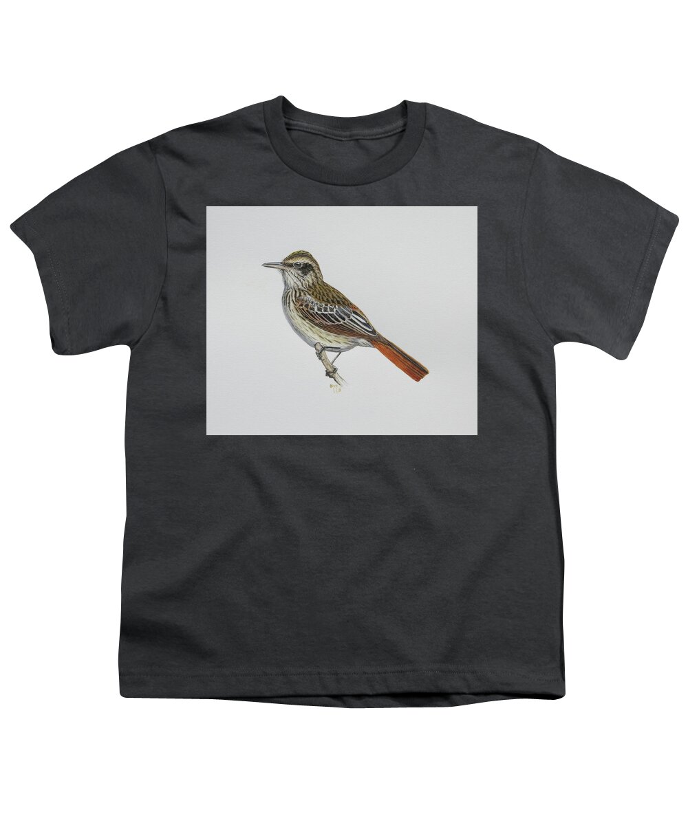 Streaked Flycatcher Youth T-Shirt featuring the painting Streaked Flycatcher by Barry Kent MacKay