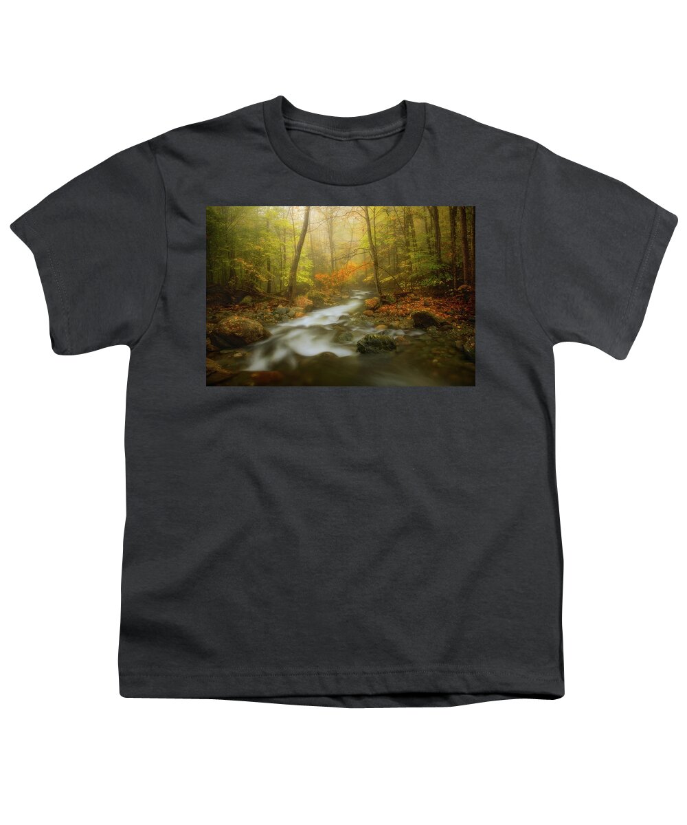 Autumn Youth T-Shirt featuring the photograph Stream in Forest by Henry w Liu