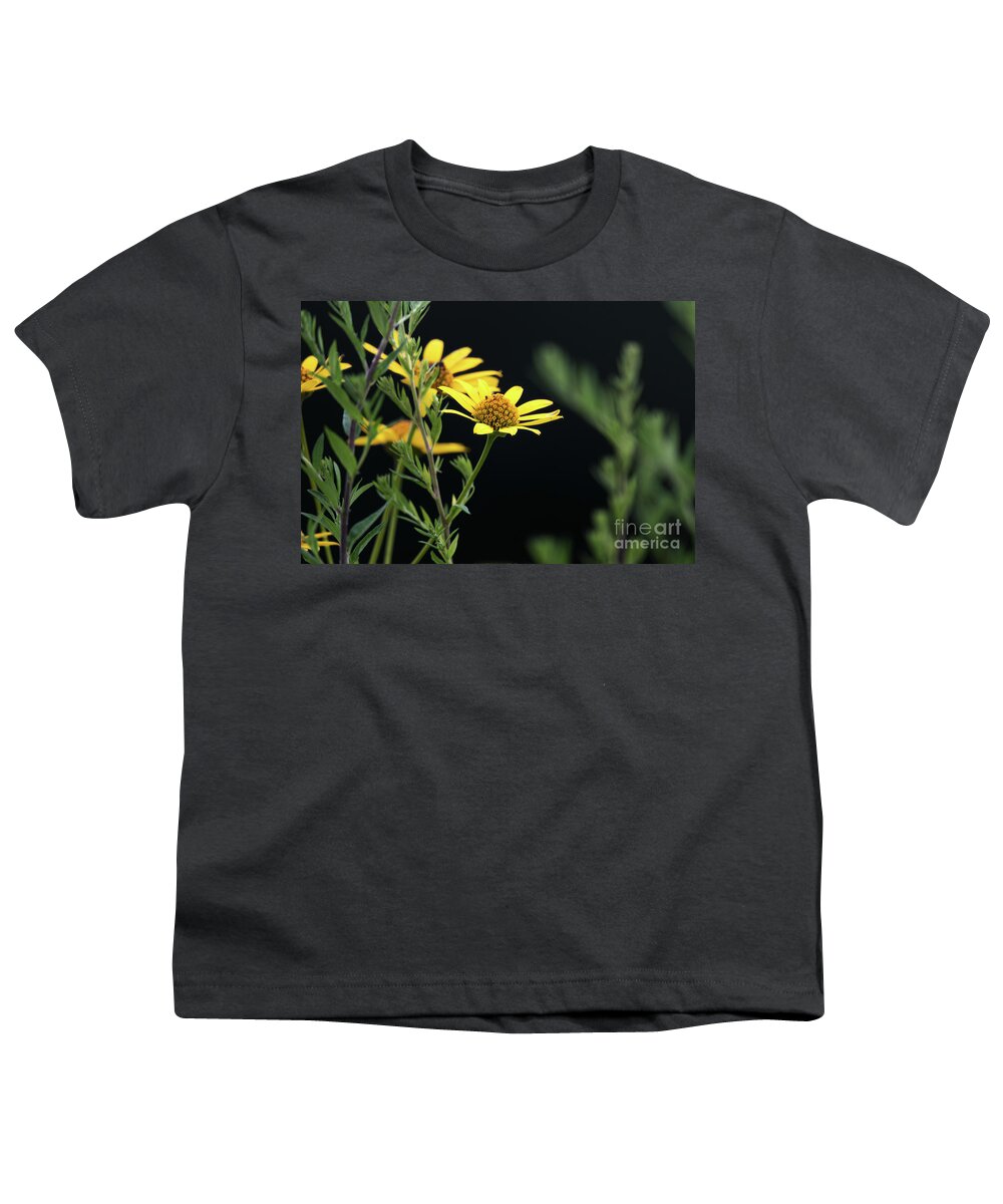 Wildflowers Youth T-Shirt featuring the photograph Summer Wildflowers - Ox Eye Sunflower by Rehna George
