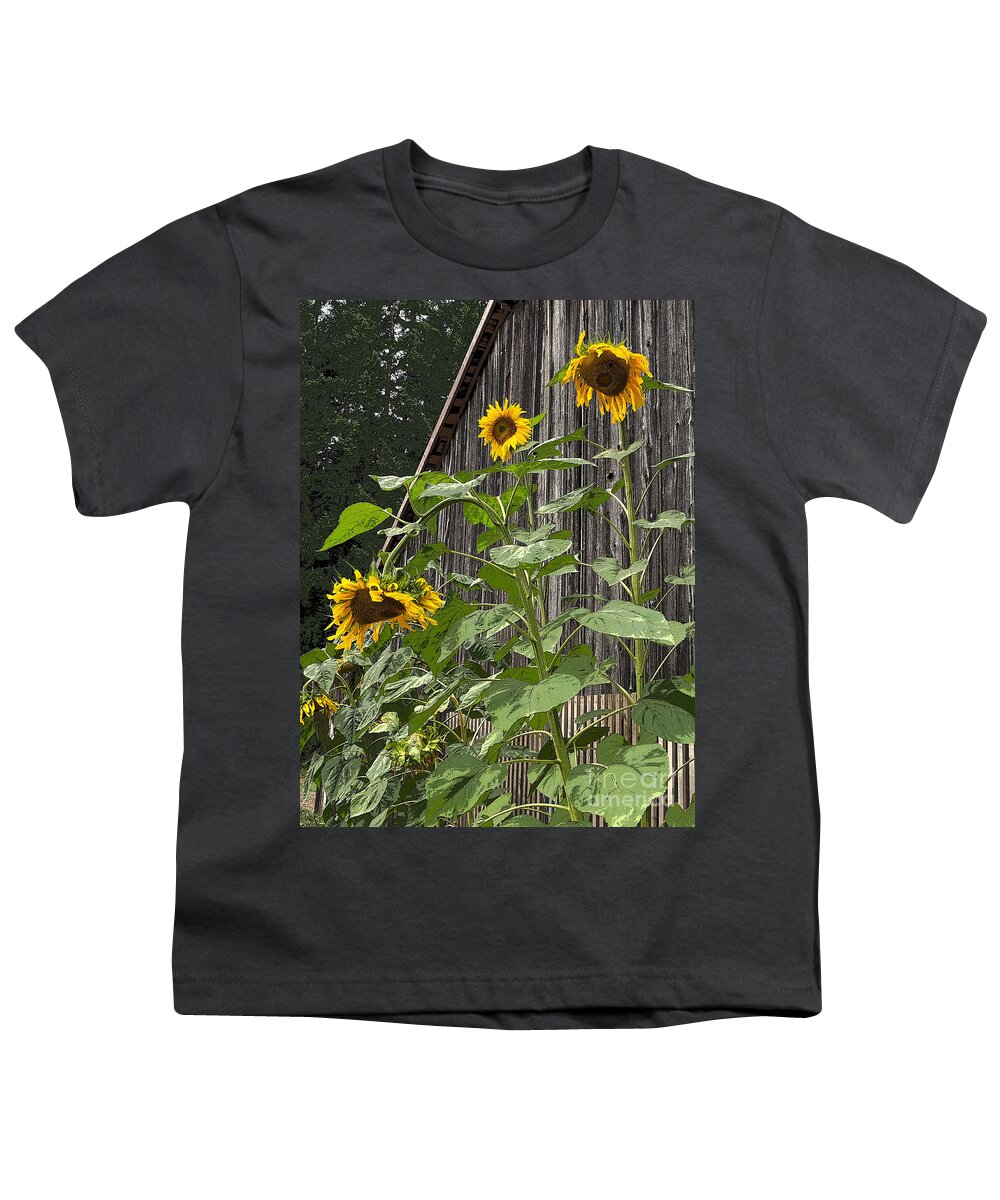Sunflower Youth T-Shirt featuring the photograph Sunflowers and Old Barn by Jeanette French