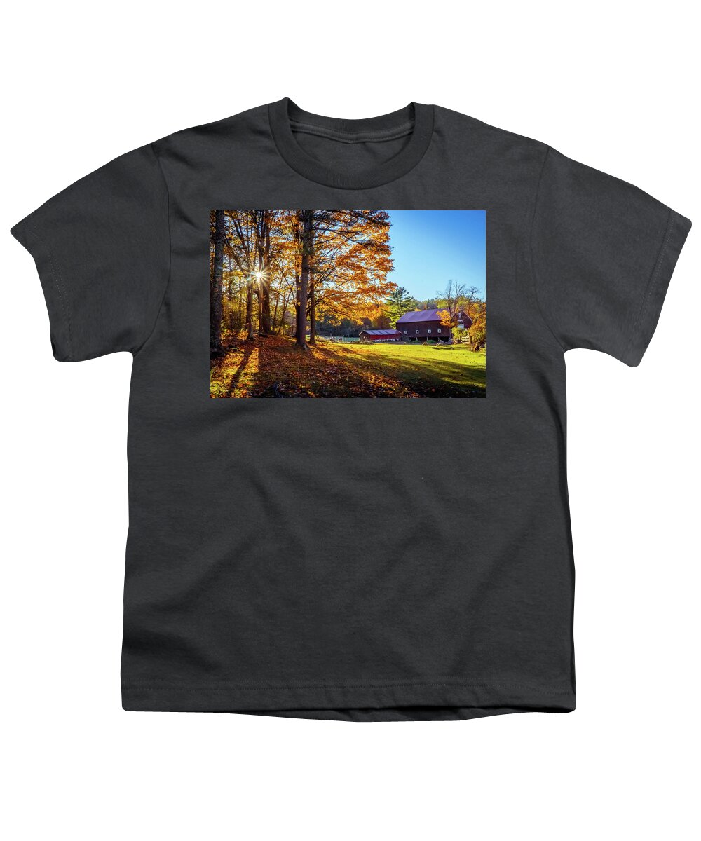 Sunny Farm Youth T-Shirt featuring the photograph Sunny farm by Lilia S