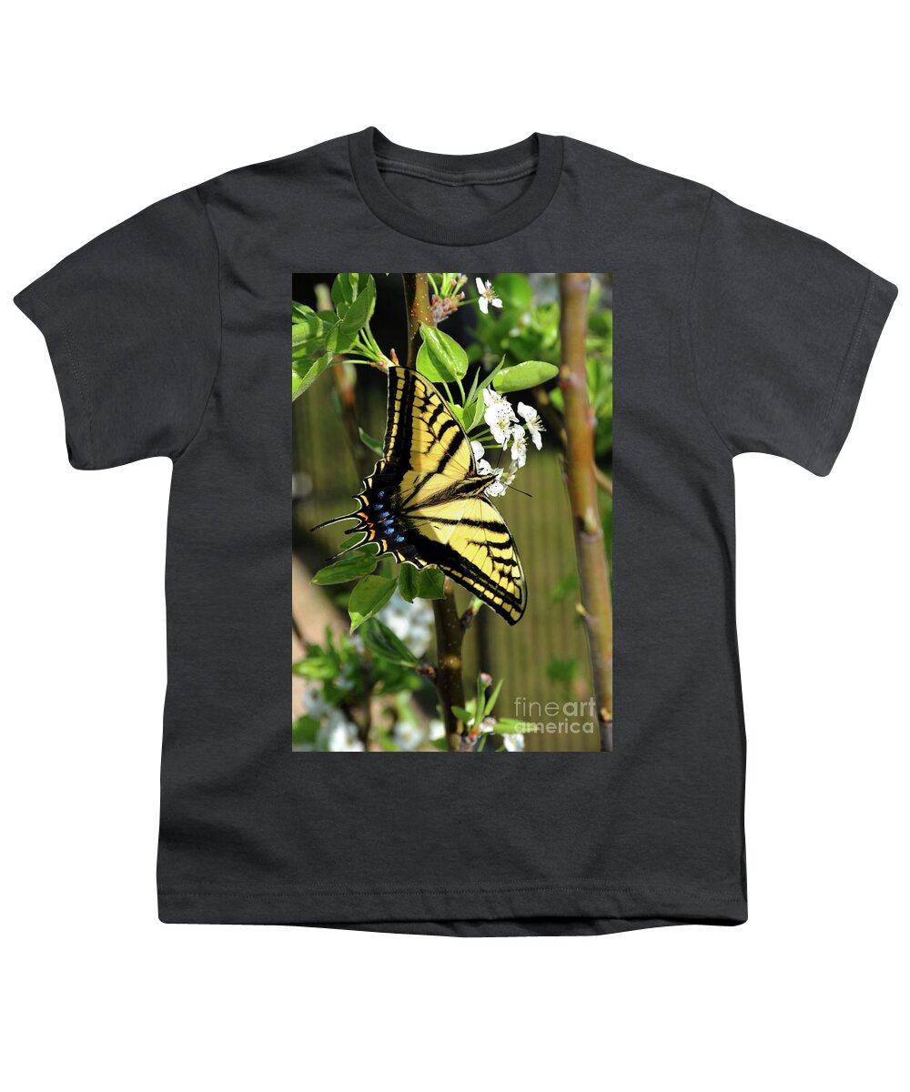 Animal Youth T-Shirt featuring the photograph Swallowtail Butterfly is enjoying feeding on a spring blossom by Gunther Allen