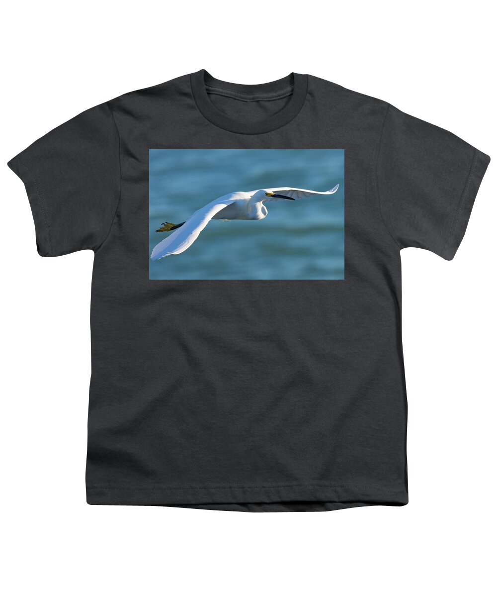 Snowy Egret Youth T-Shirt featuring the photograph The Glideslope by RD Allen