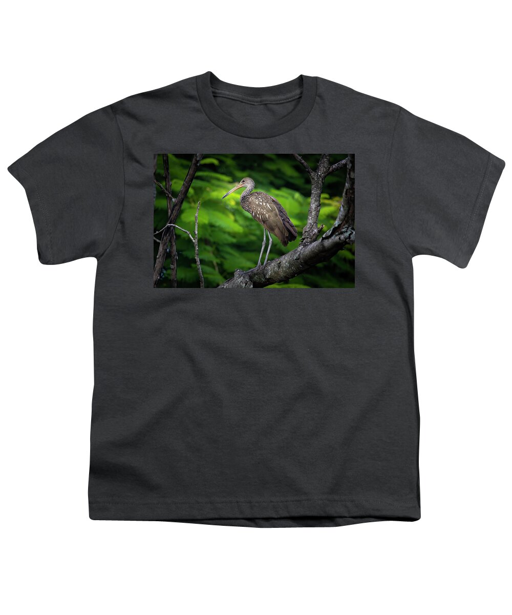 Limpkin Youth T-Shirt featuring the photograph The Limpkin in the Tree by Mark Andrew Thomas