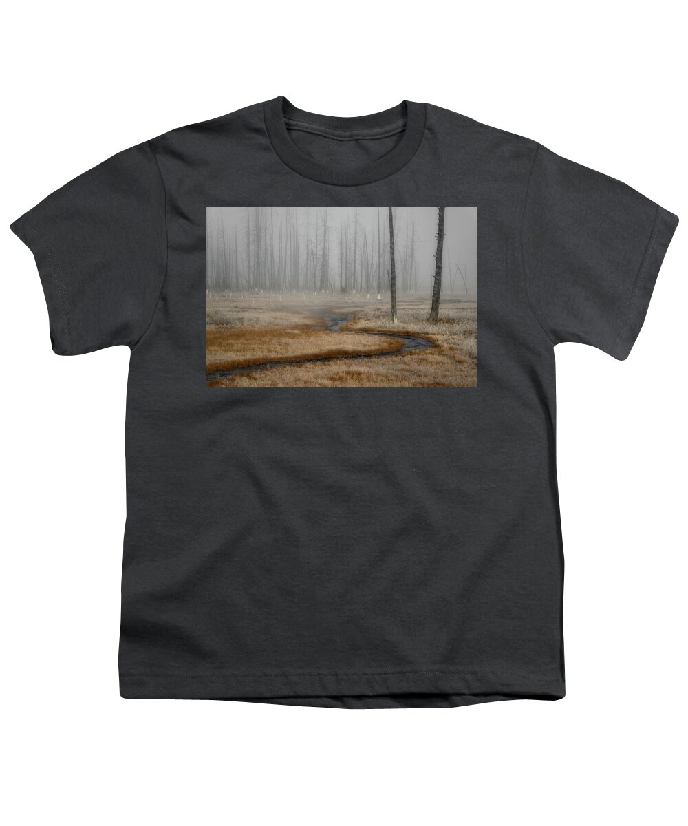 Woods Youth T-Shirt featuring the photograph The Misty Wood by Kenneth Everett