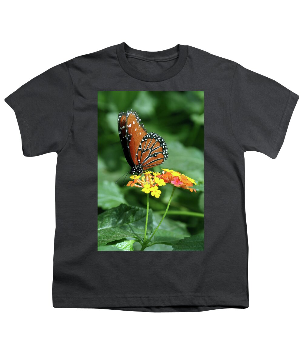 Insect Youth T-Shirt featuring the photograph The Monarch by Jim Feldman