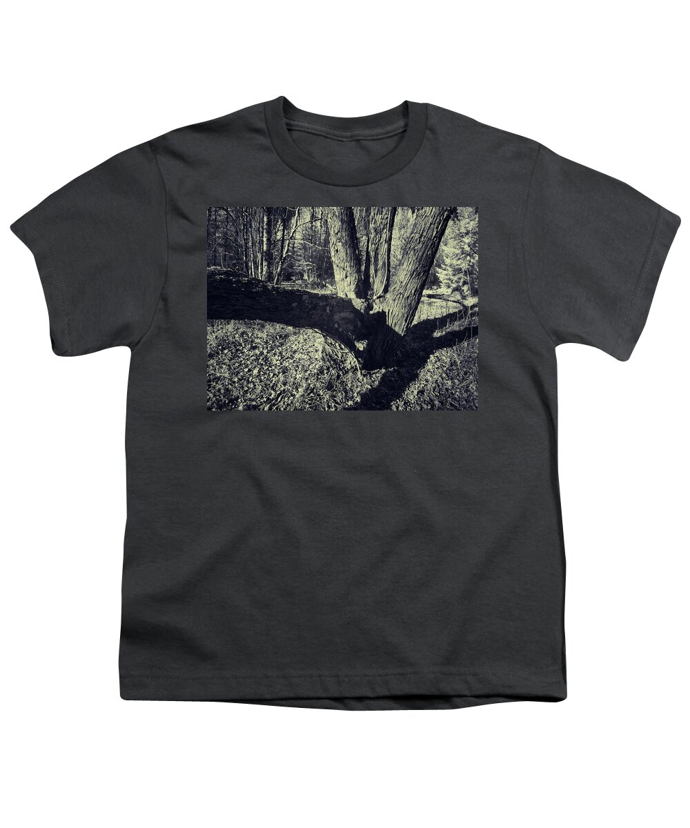 Finland Youth T-Shirt featuring the photograph The old mapple ir by Jouko Lehto