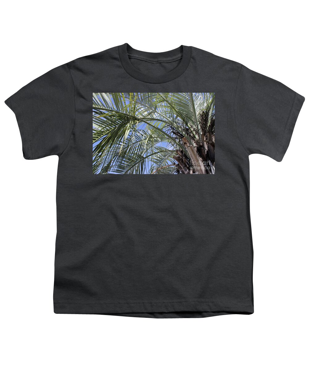 Palm Tree Youth T-Shirt featuring the photograph The Palm Tree by Roberta Byram