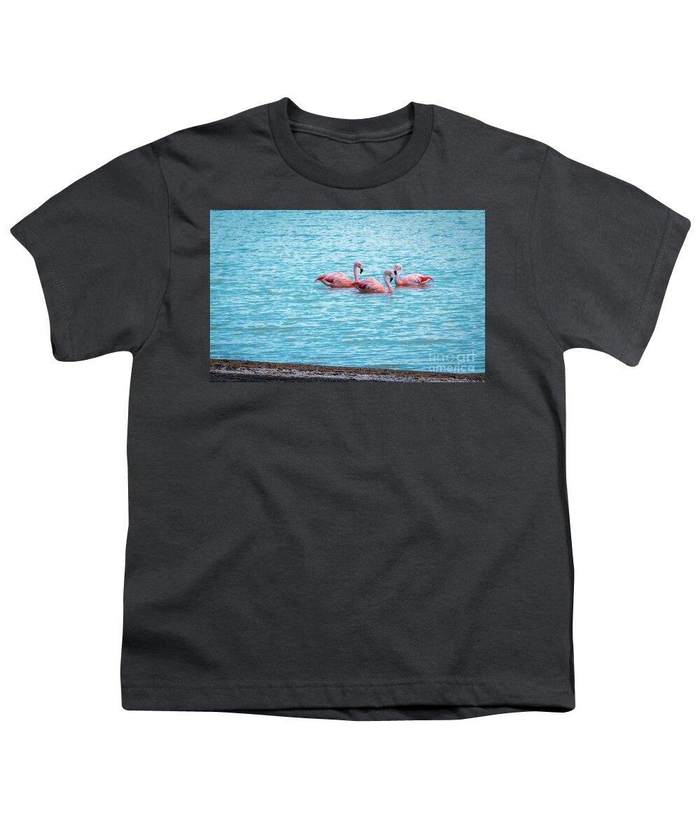 Flamingo Youth T-Shirt featuring the photograph Three flamingos on the Laguna Amarga by Lyl Dil Creations