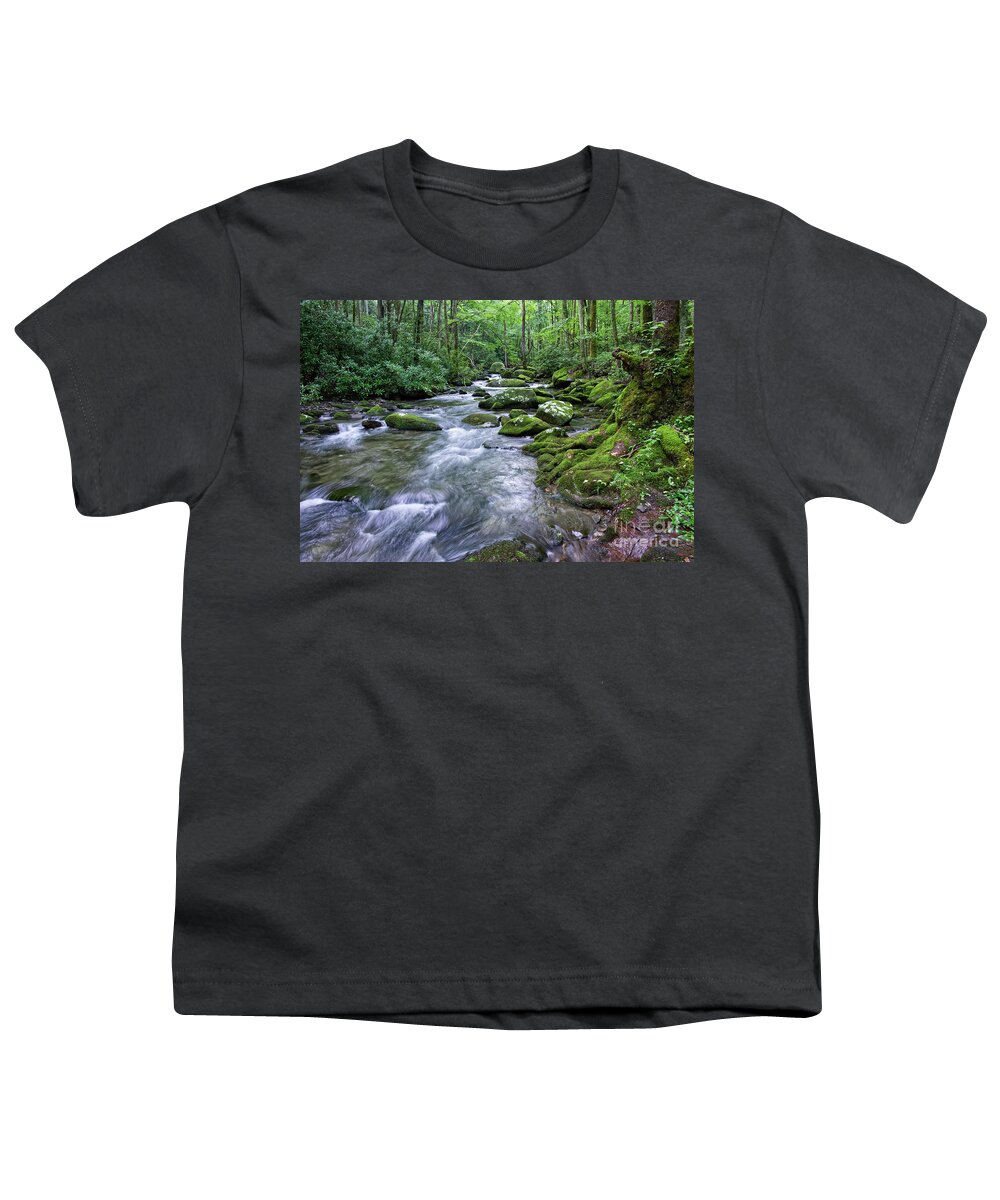 Smoky Mountains Youth T-Shirt featuring the photograph Thunderhead Prong 15 by Phil Perkins