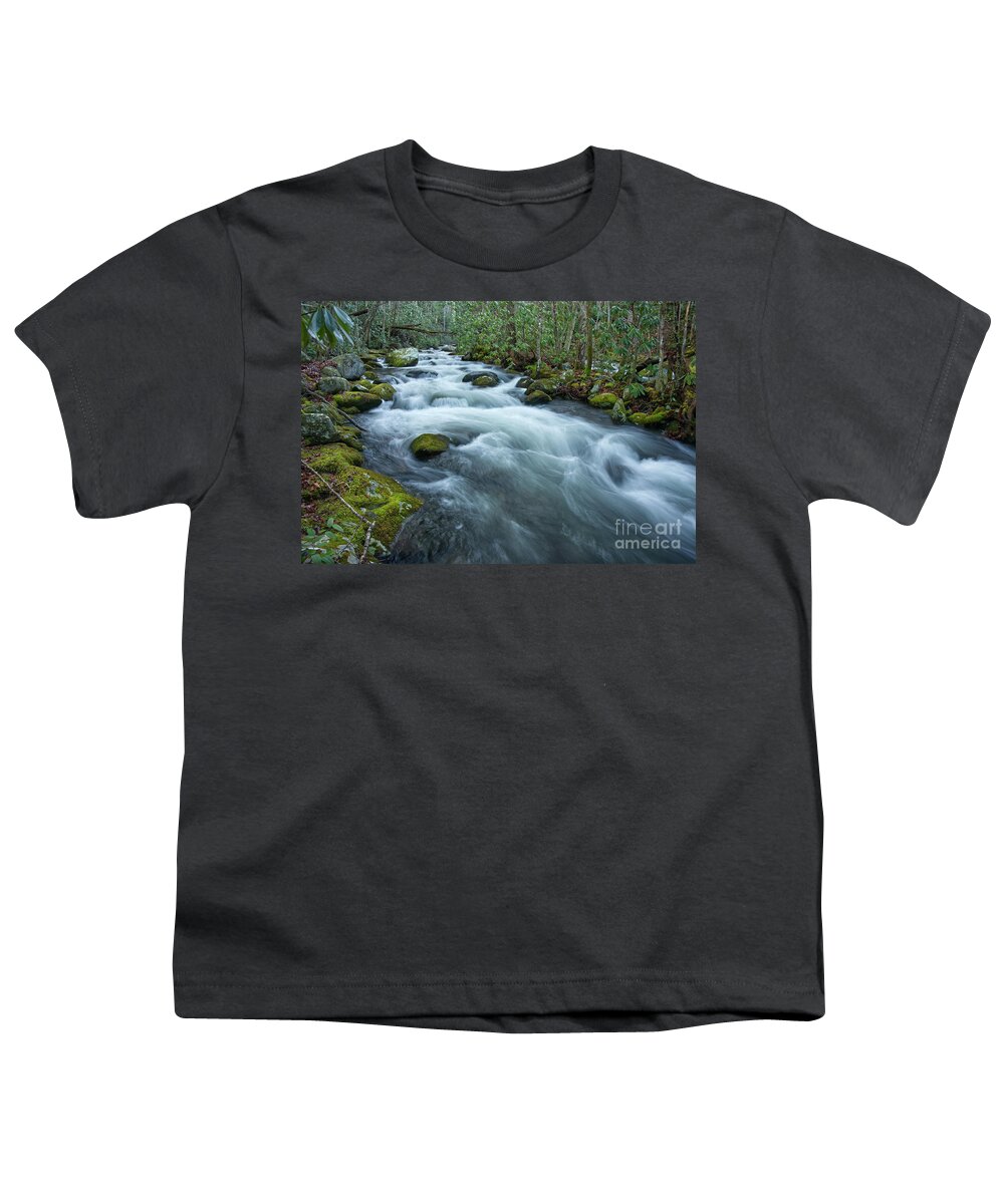 Smoky Mountains Youth T-Shirt featuring the photograph Thunderhead Prong 33 by Phil Perkins